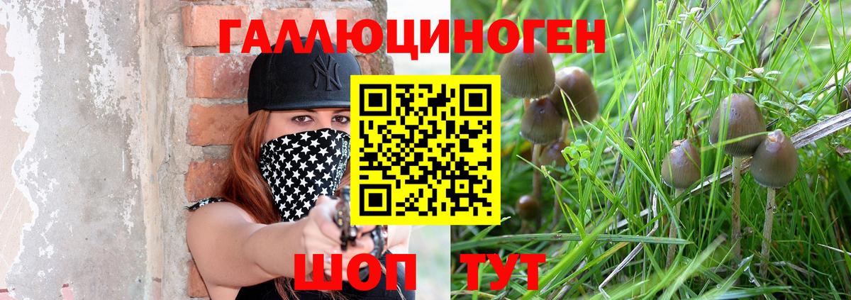 Псилоцибиновые грибы Psilocybe  Вход с VPN  Волоколамск  Псилоцибиновые грибы Magic Shrooms 