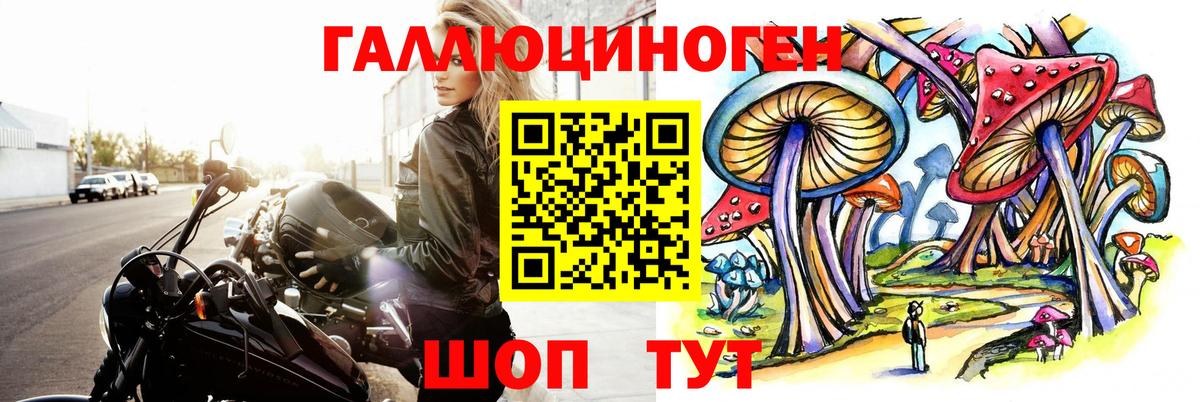 Галлюциногенные грибы Psilocybe Волоколамск